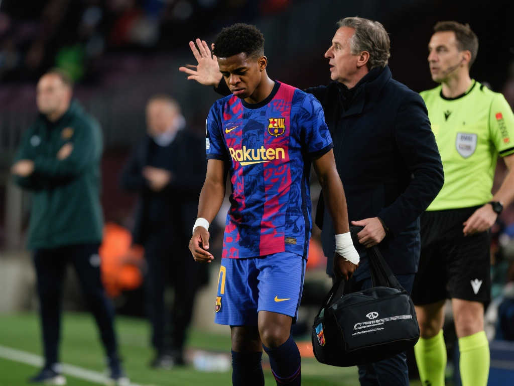 会的越野滑 会的越野滑