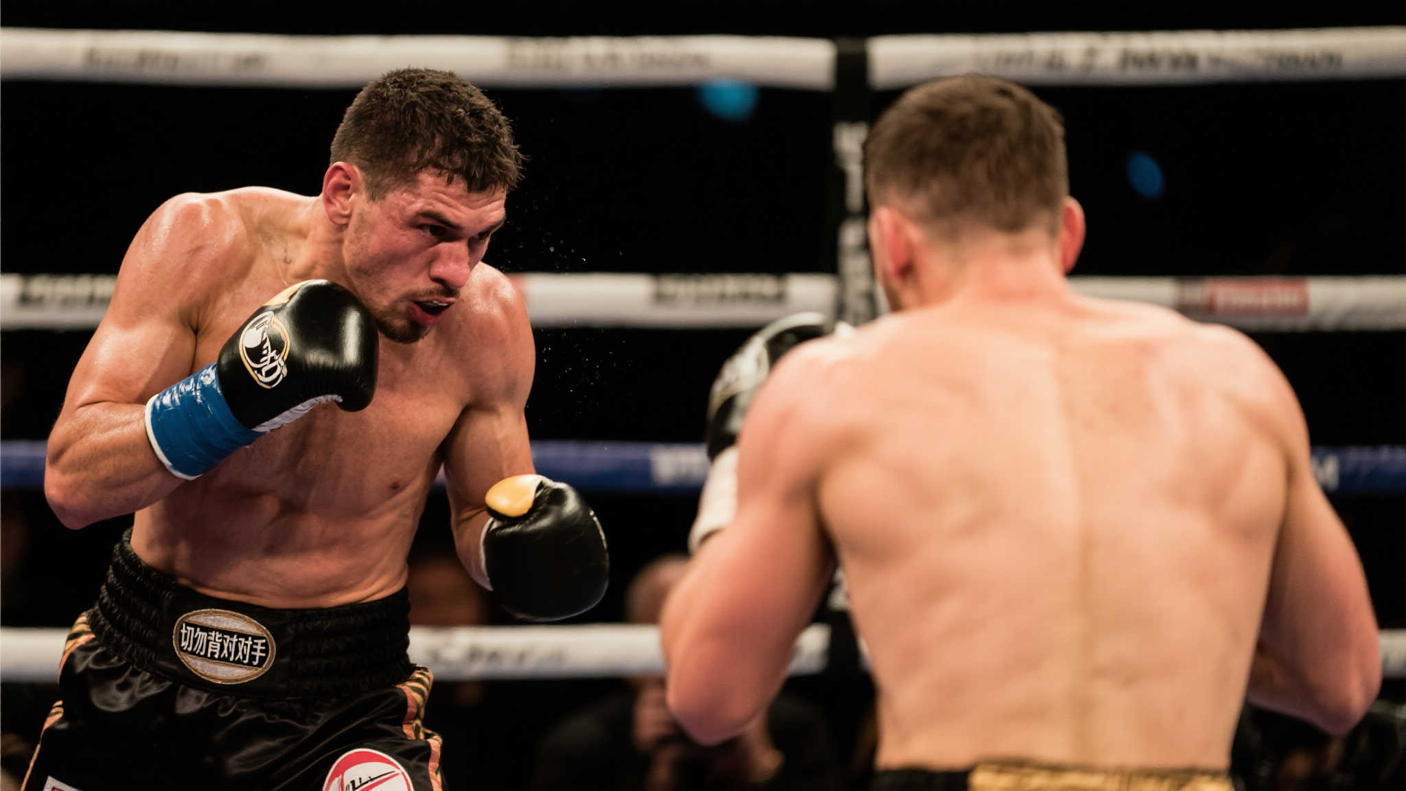 的个人宣言 的个人宣言